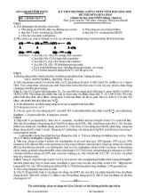 Kỳ thi chọn học sinh giỏi lớp 11 THPT năm học 2012 - 2013 đề thi môn Hóa học